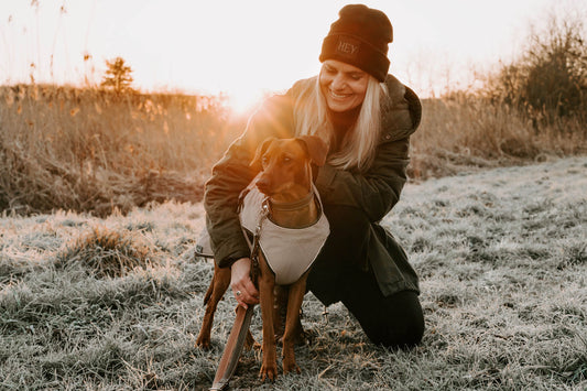 5 Signs It’s Time for Your Pooch to Sport a Coat