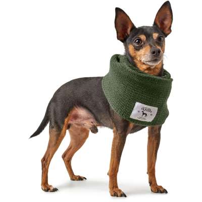 Nancy Dog Scarf
