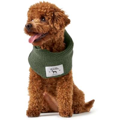 Nancy Dog Scarf