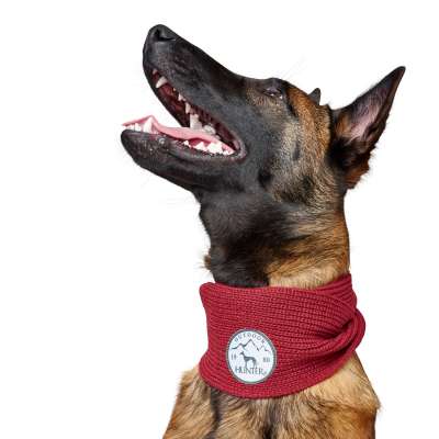 Malmo Dog Scarf