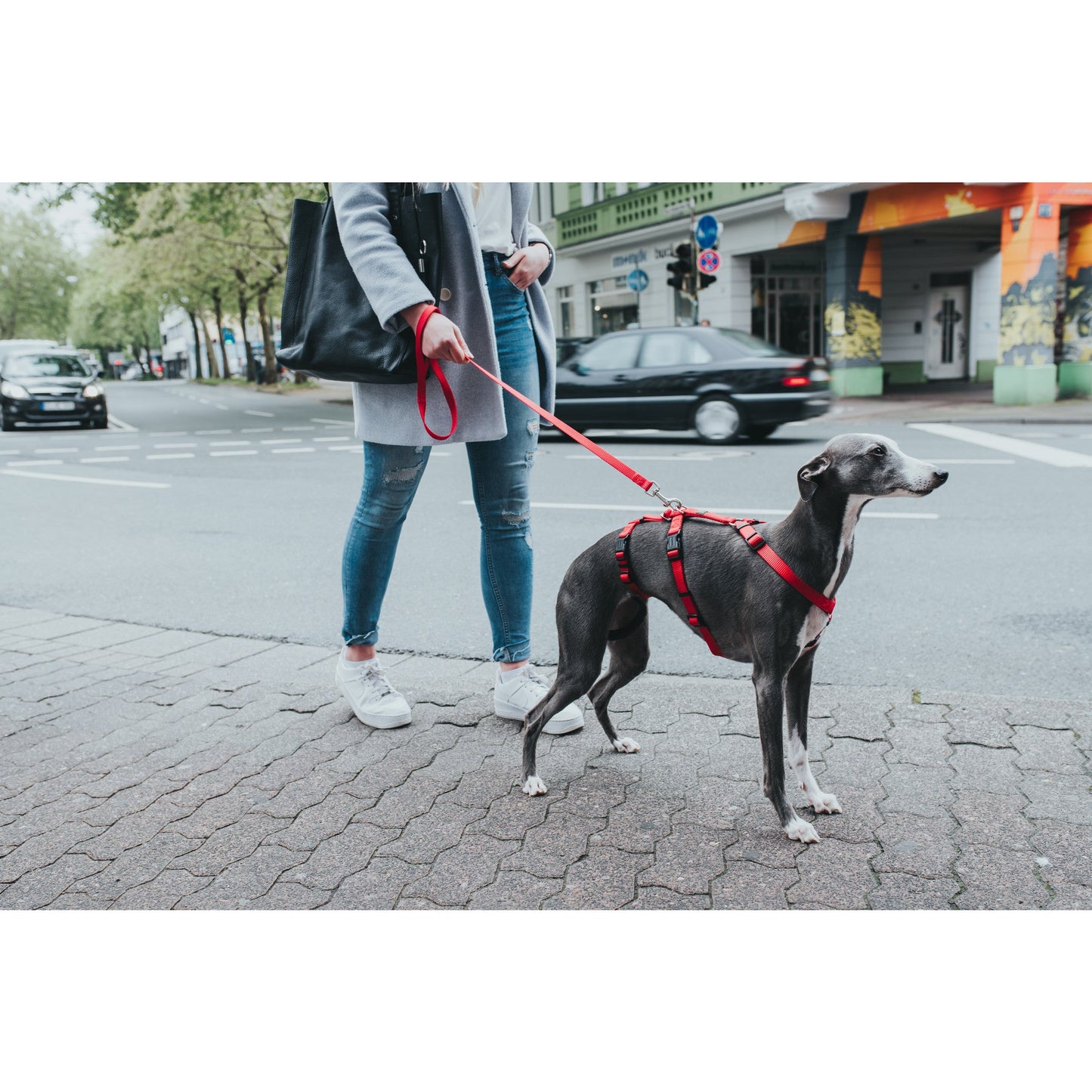 Nylon Safety Dog Harness Vario Rapid lifestyle