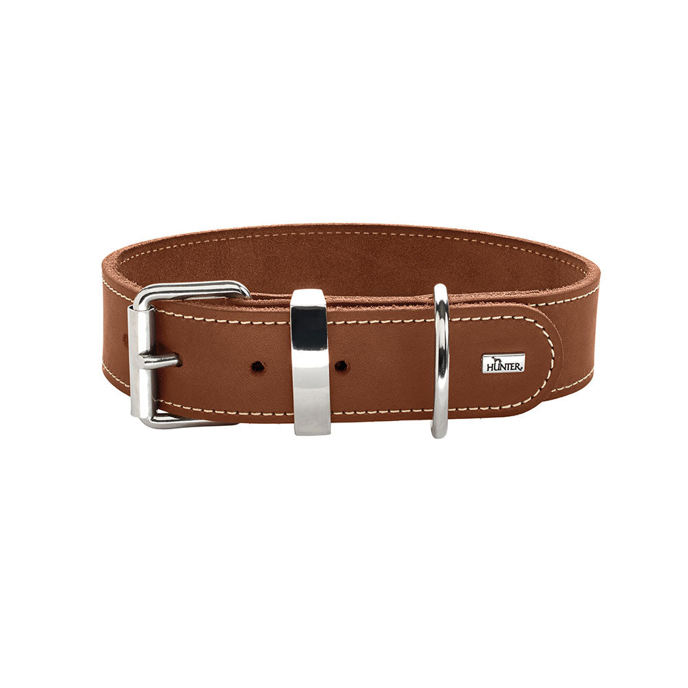 Aalborg SPECIAL Leather Dog Collar