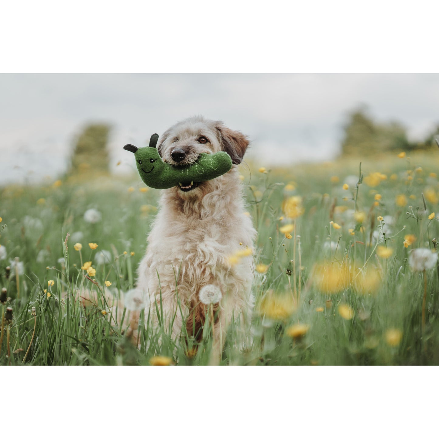 Recycled Dog Toy Florenz