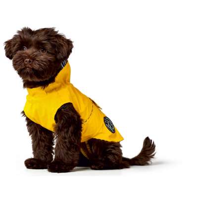 Dog Rain Coat Milford