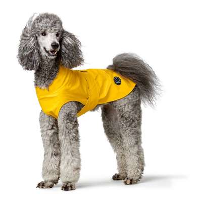 Dog Rain Coat Milford