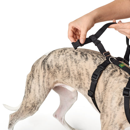 Nylon Safety Dog Harness Vario Rapid dog model