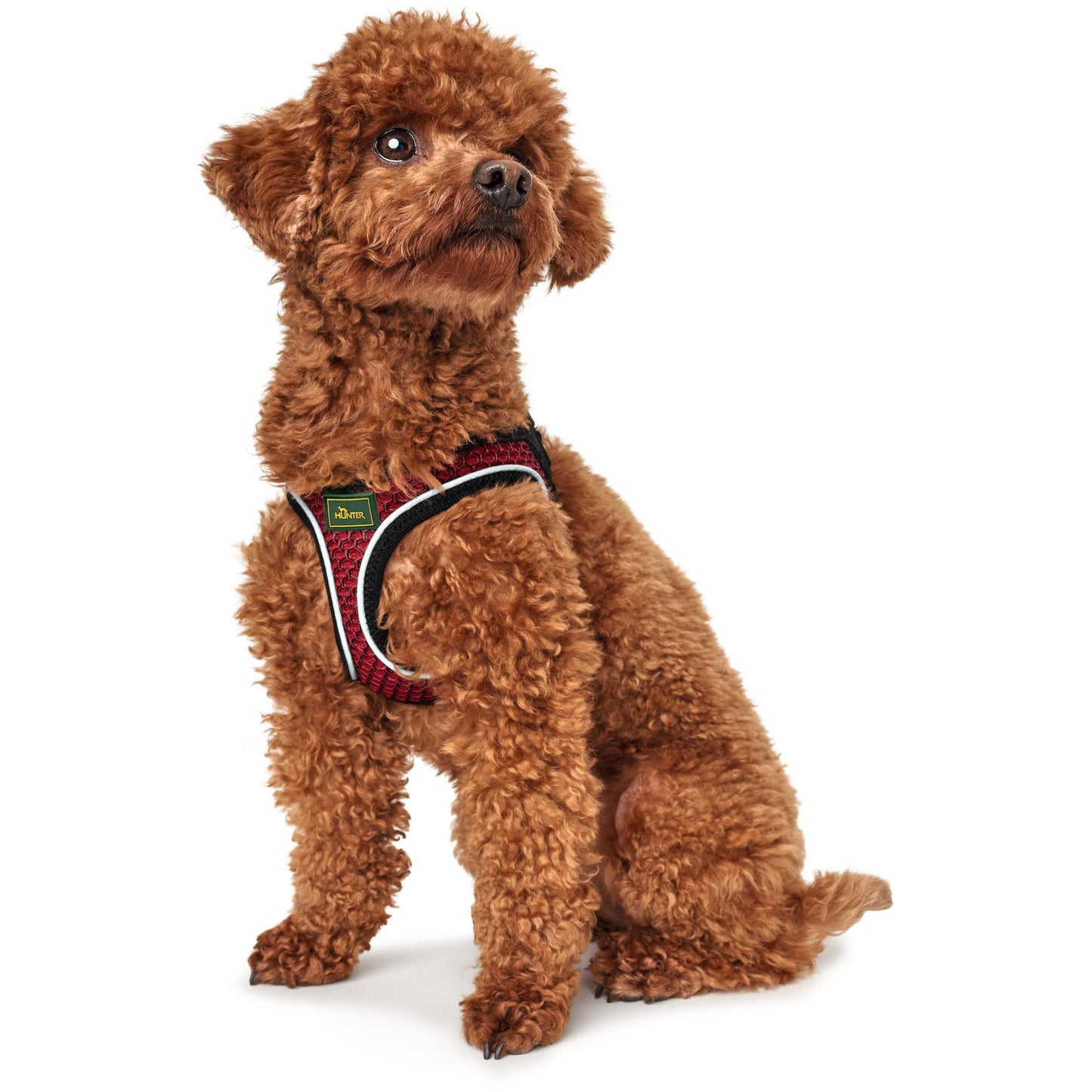 Hilo Comfort Dog Harness