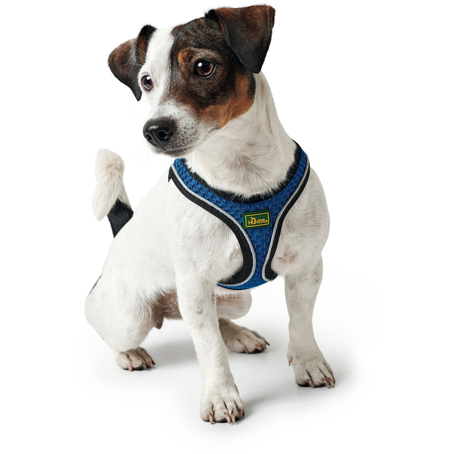 Hilo Comfort Dog Harness