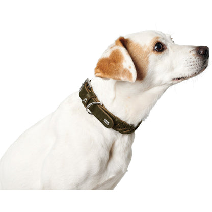 Leather Solid Education Special Dog Collar