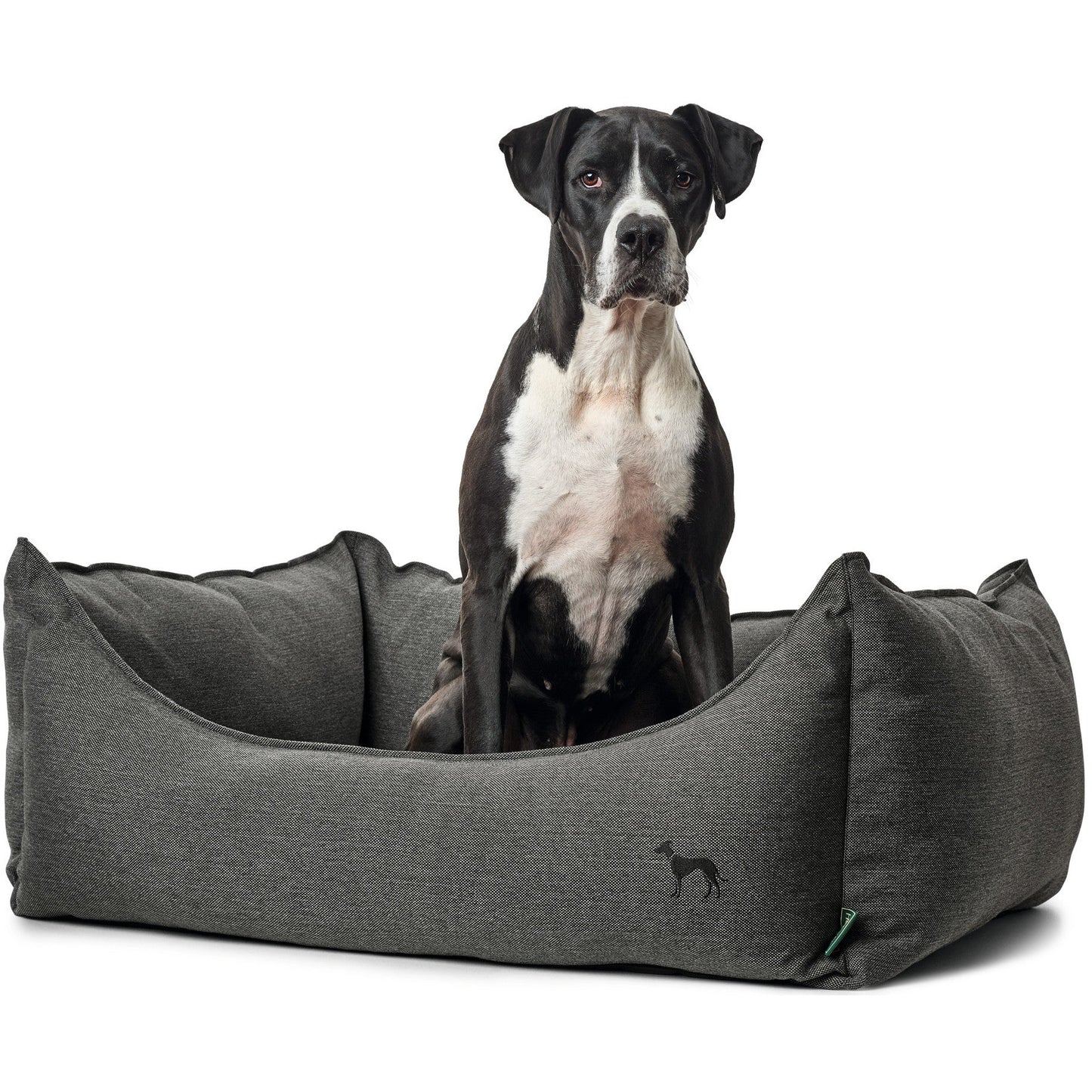 Livingston Dog Sofa