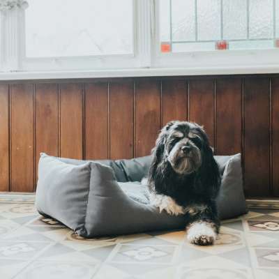 Ravina Dog Sofa