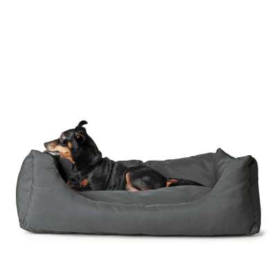 Ravina Dog Sofa