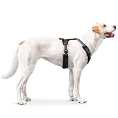 Maldon Nylon Harness