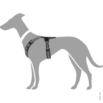 Maldon Nylon Harness