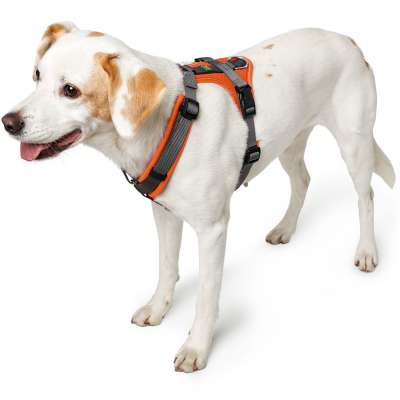 Maldon Nylon Harness