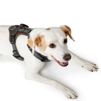 Maldon Nylon Harness