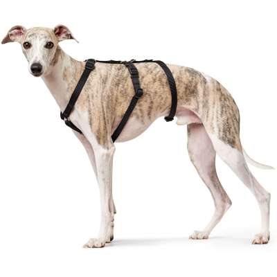 Nylon Safety Dog Harness Vario Rapid dog model 2