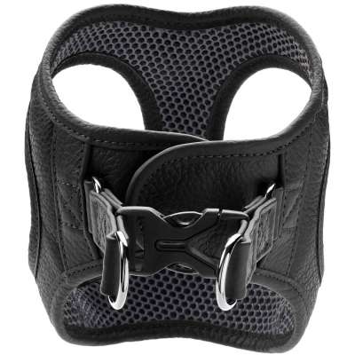 Hilo Leather Dog Harness