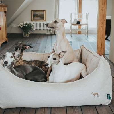 Livingston Dog Sofa