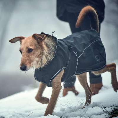 UPPSALA Softshell Coat