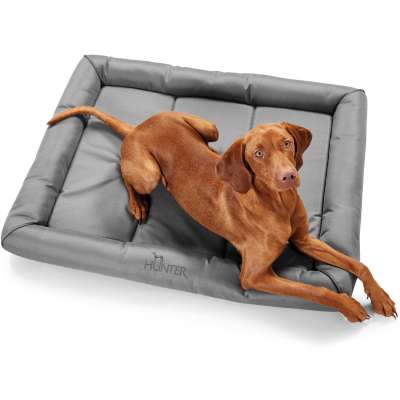 Vermont Dog Cushion
