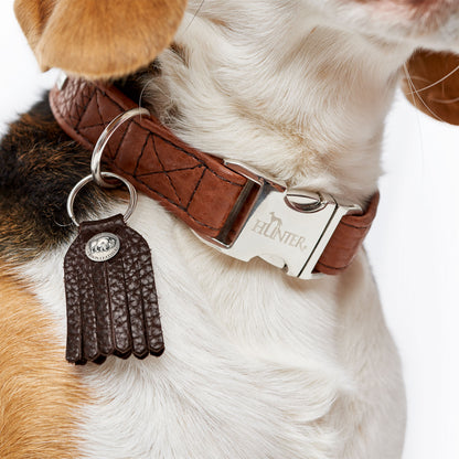 Collar Cody Alu-Strong