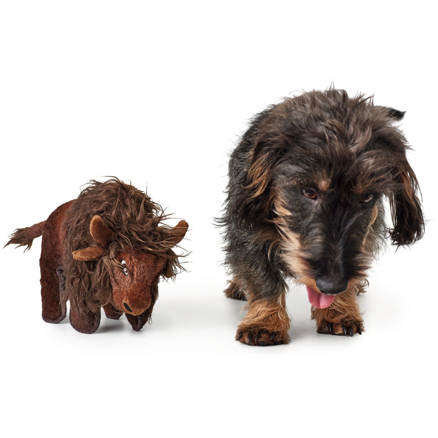 Dog Toy Tough Kamerun