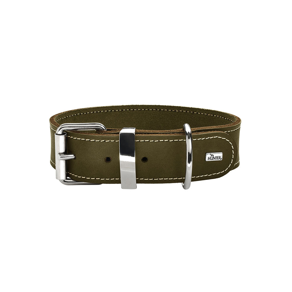 Aalborg SPECIAL Leather Dog Collar