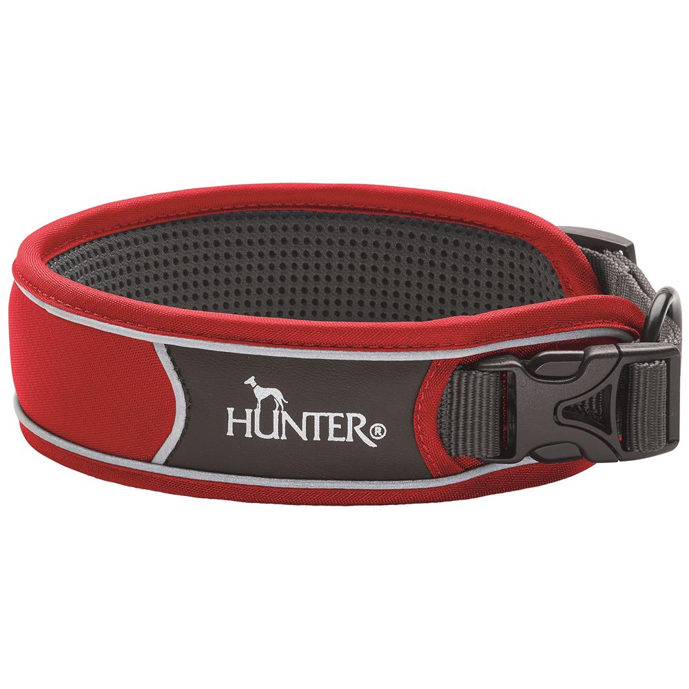 Divo Dog Collar