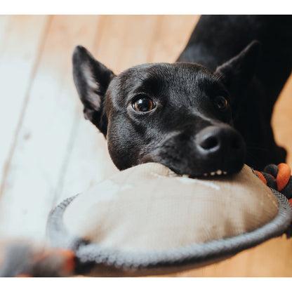 Dog Toy Tough Pombas
