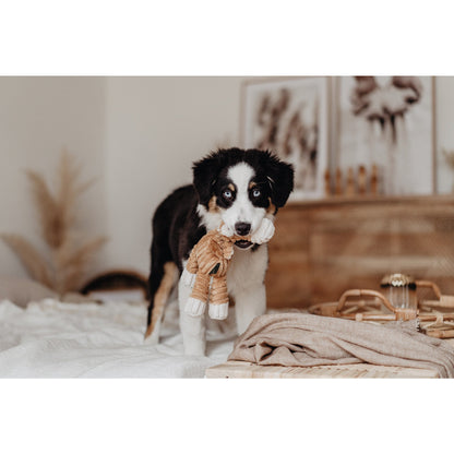 Dog Toy Huggly