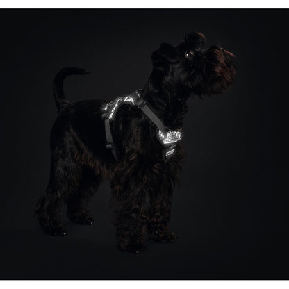 Divo Reflect Dog Harness