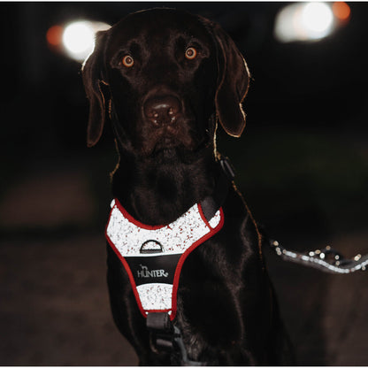 Divo Reflect Dog Harness