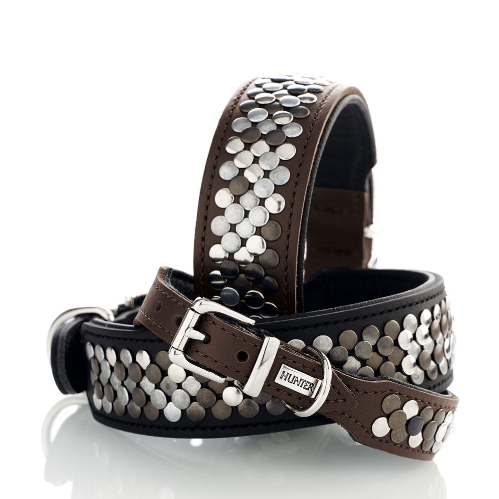 Arizona Dog Collar