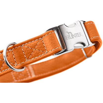 Cannes Leather Alu-Strong Dog Collar