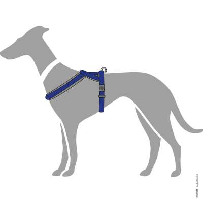 Divo Nylon Neoprene Dog Harness