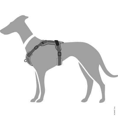 Divo Nylon Neoprene Dog Harness