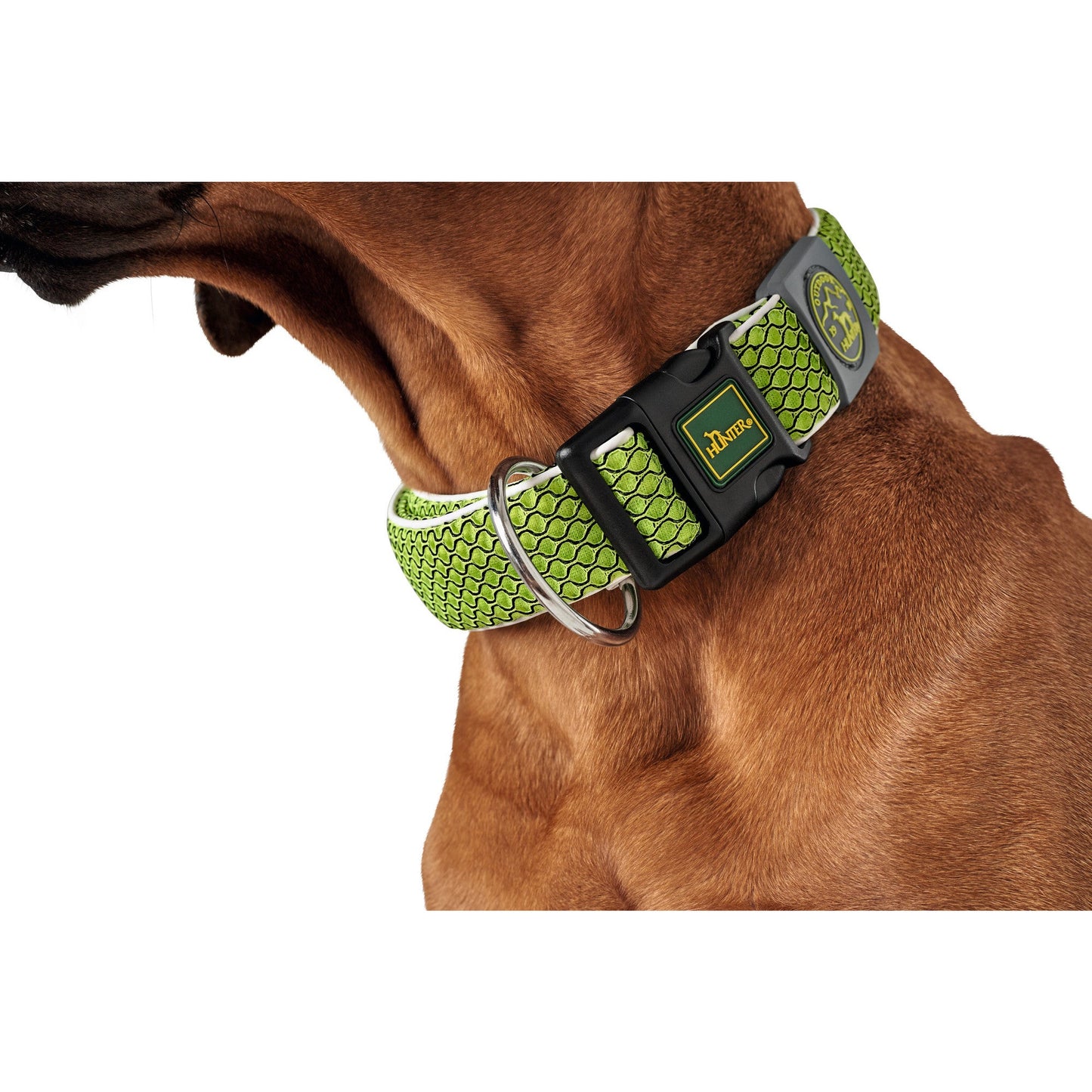 Hilo Vario Dog Collar