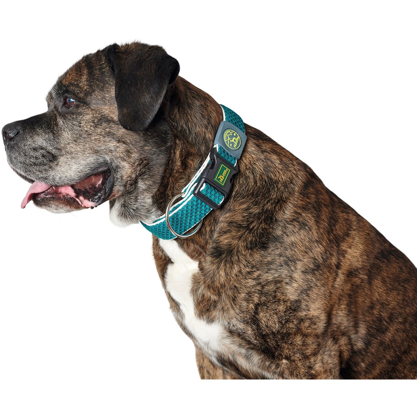 Hilo Vario Dog Collar
