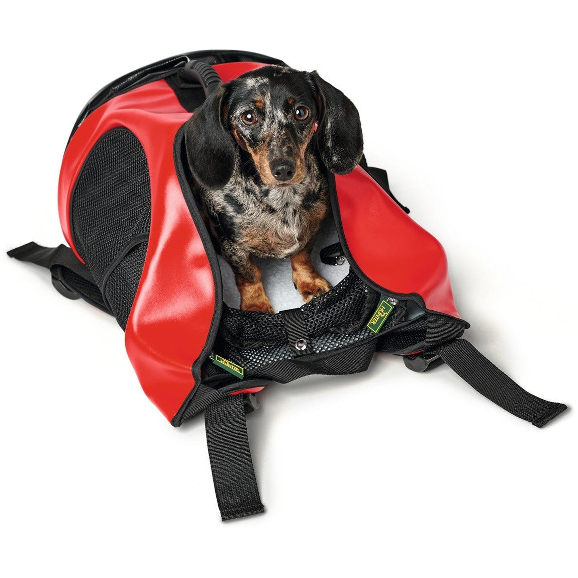Convenient and Stylish Dog Rucksack Taylor | Perfect for Outdoor ...