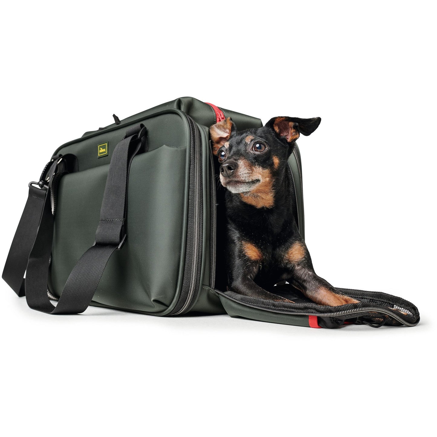Dog Carry Bag Orlando