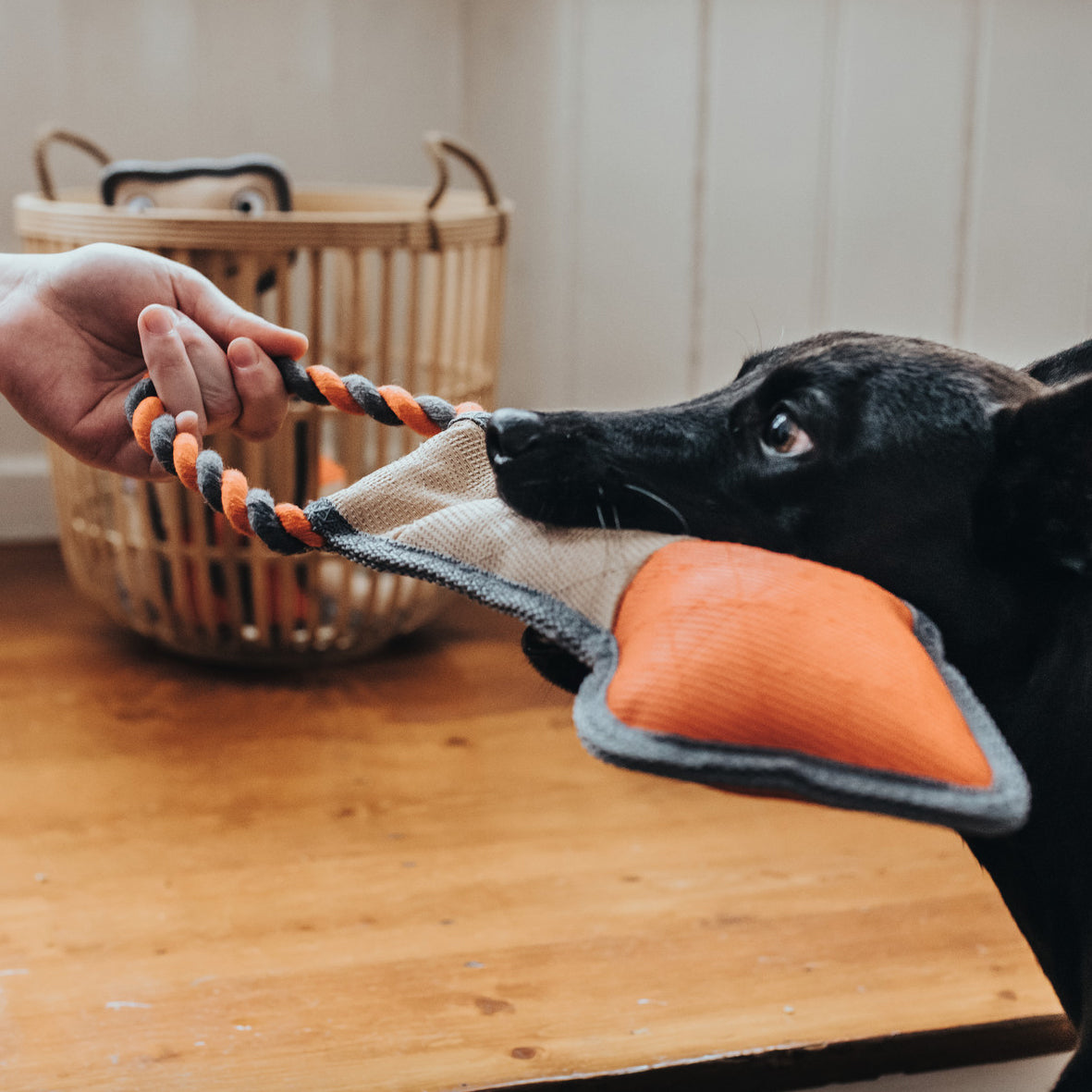 Dog Toy Tough Pombas