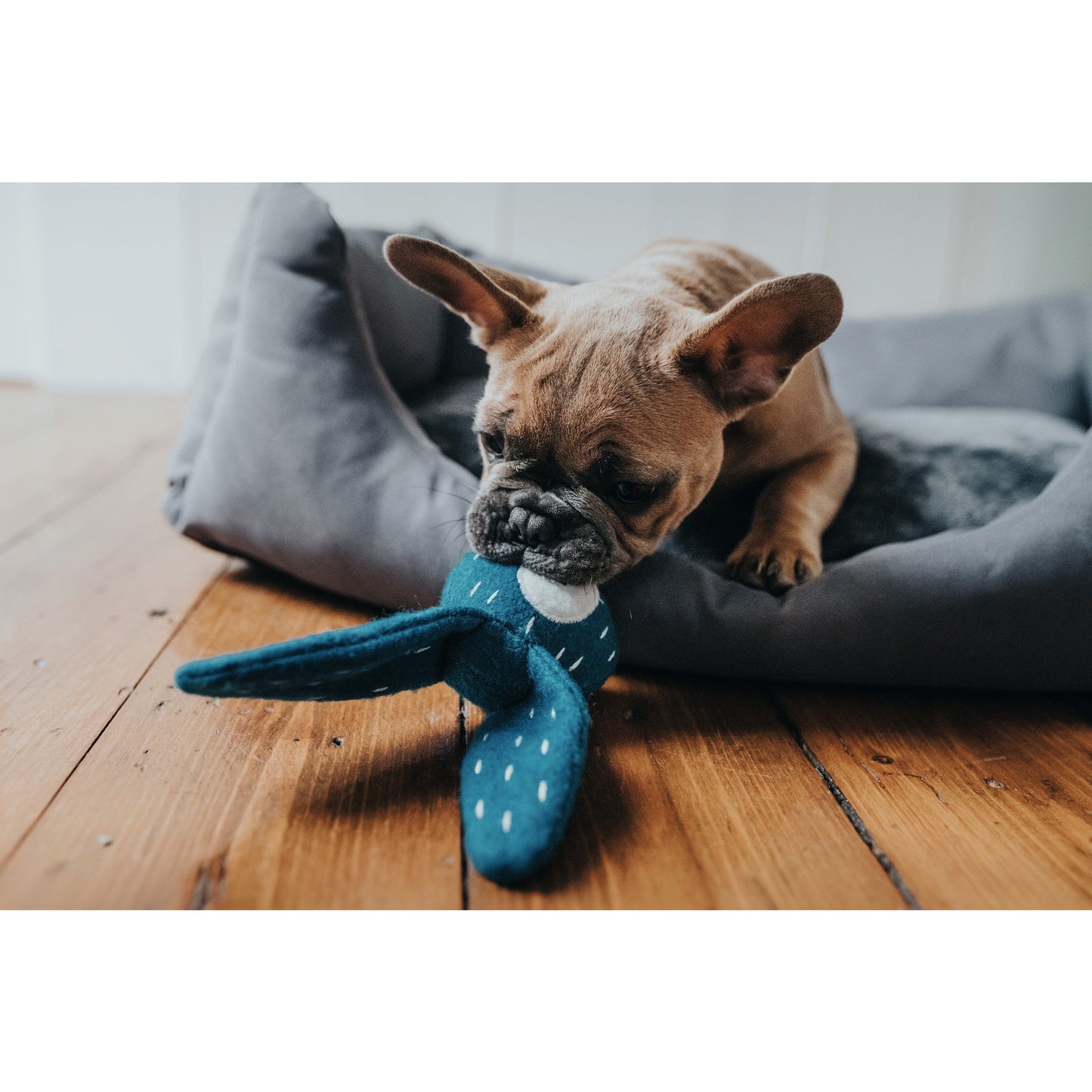 RECYCLED  Dog Toy