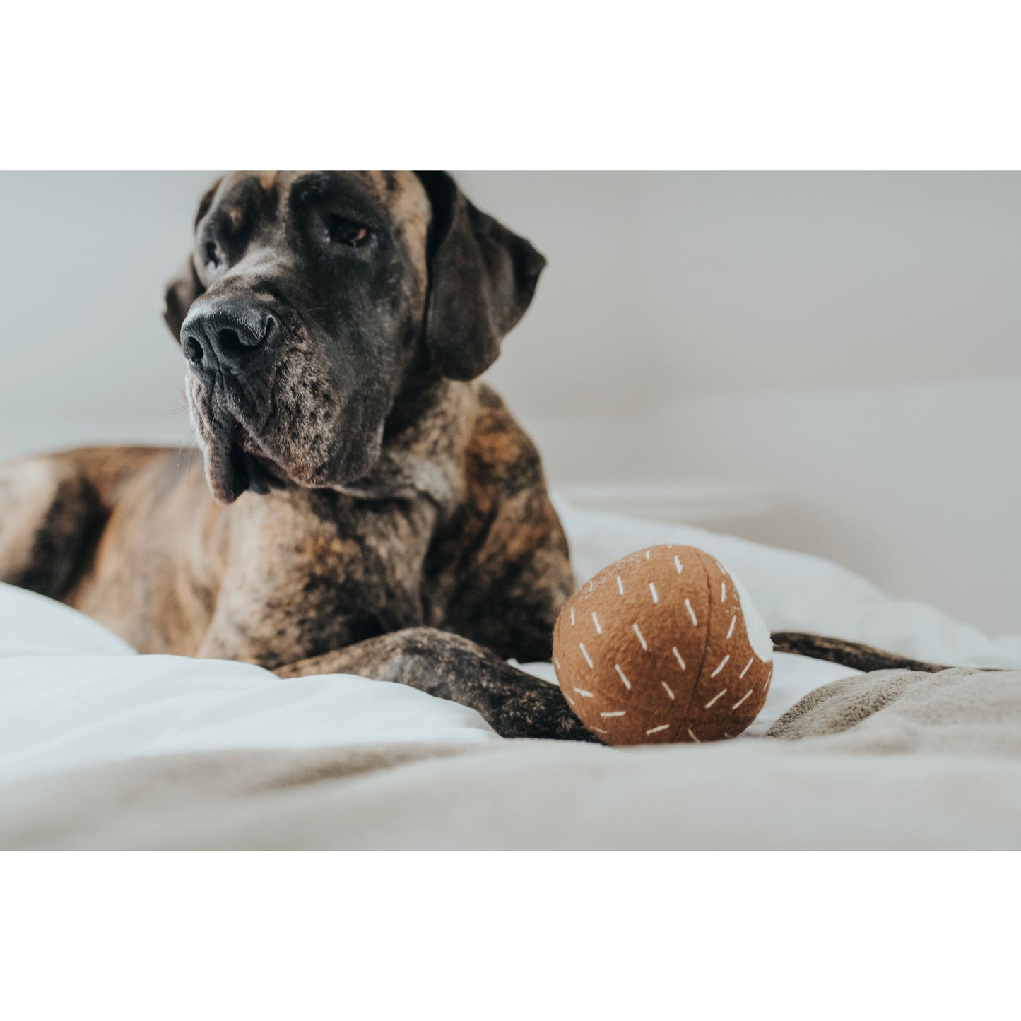 RECYCLED  Dog Toy