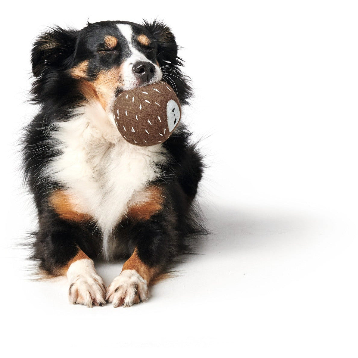 RECYCLED  Dog Toy