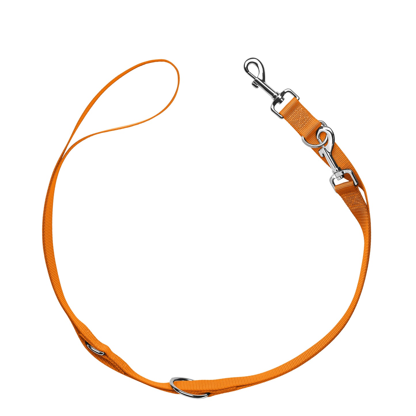 London Training Dog Leash