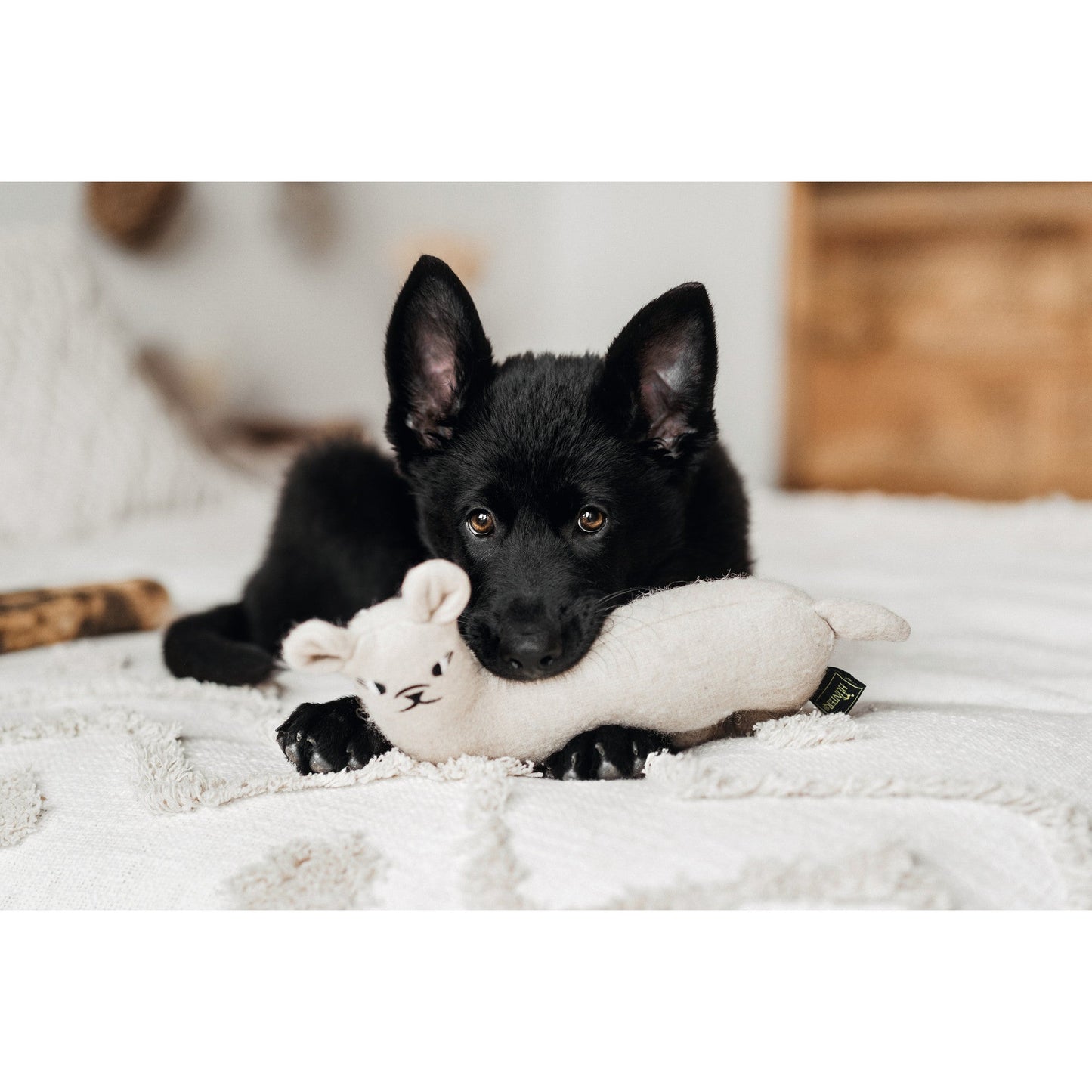 RECYCLED  Dog Toy