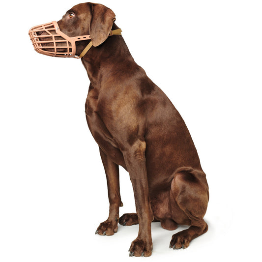 Dog Sturdy Muzzle