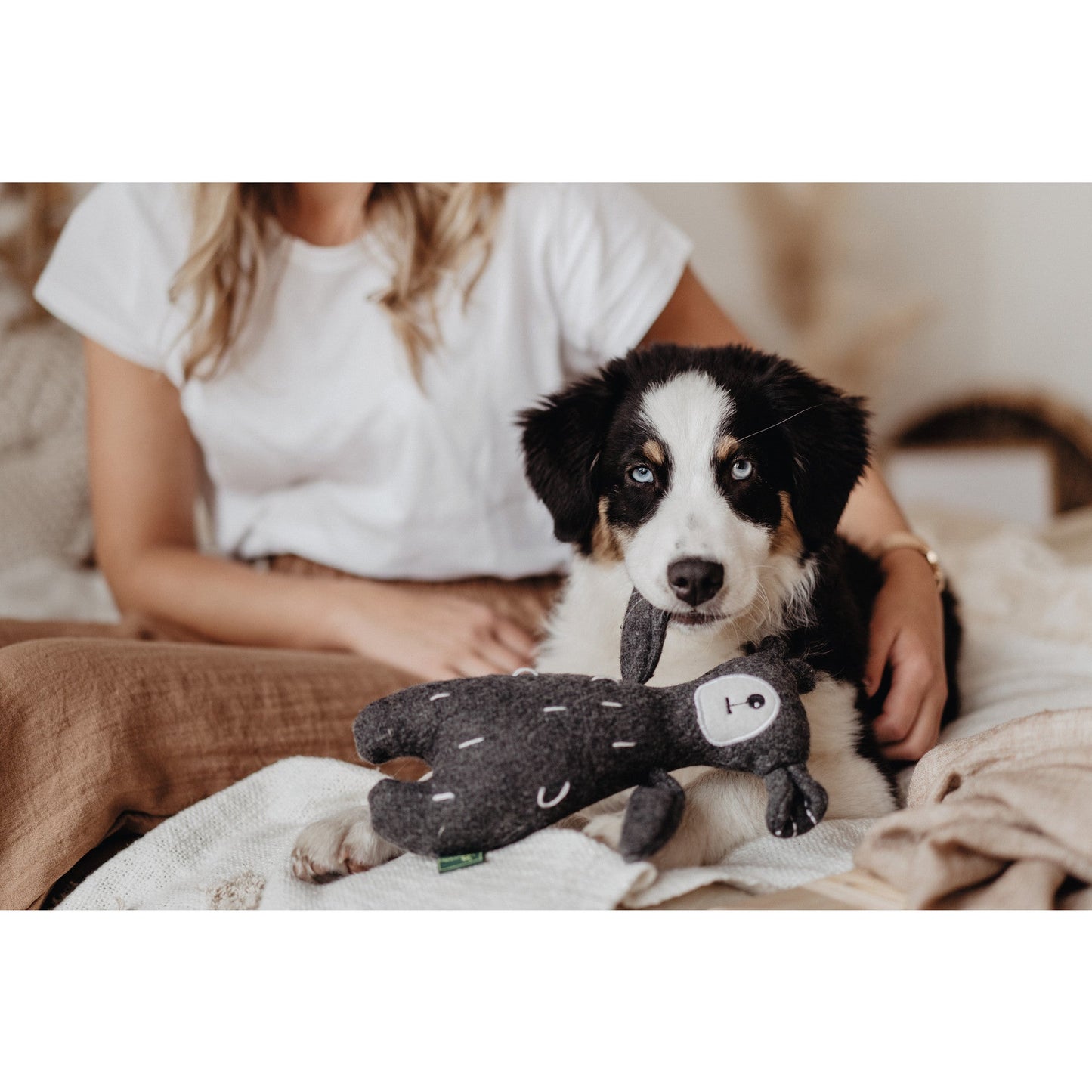 RECYCLED  Dog Toy