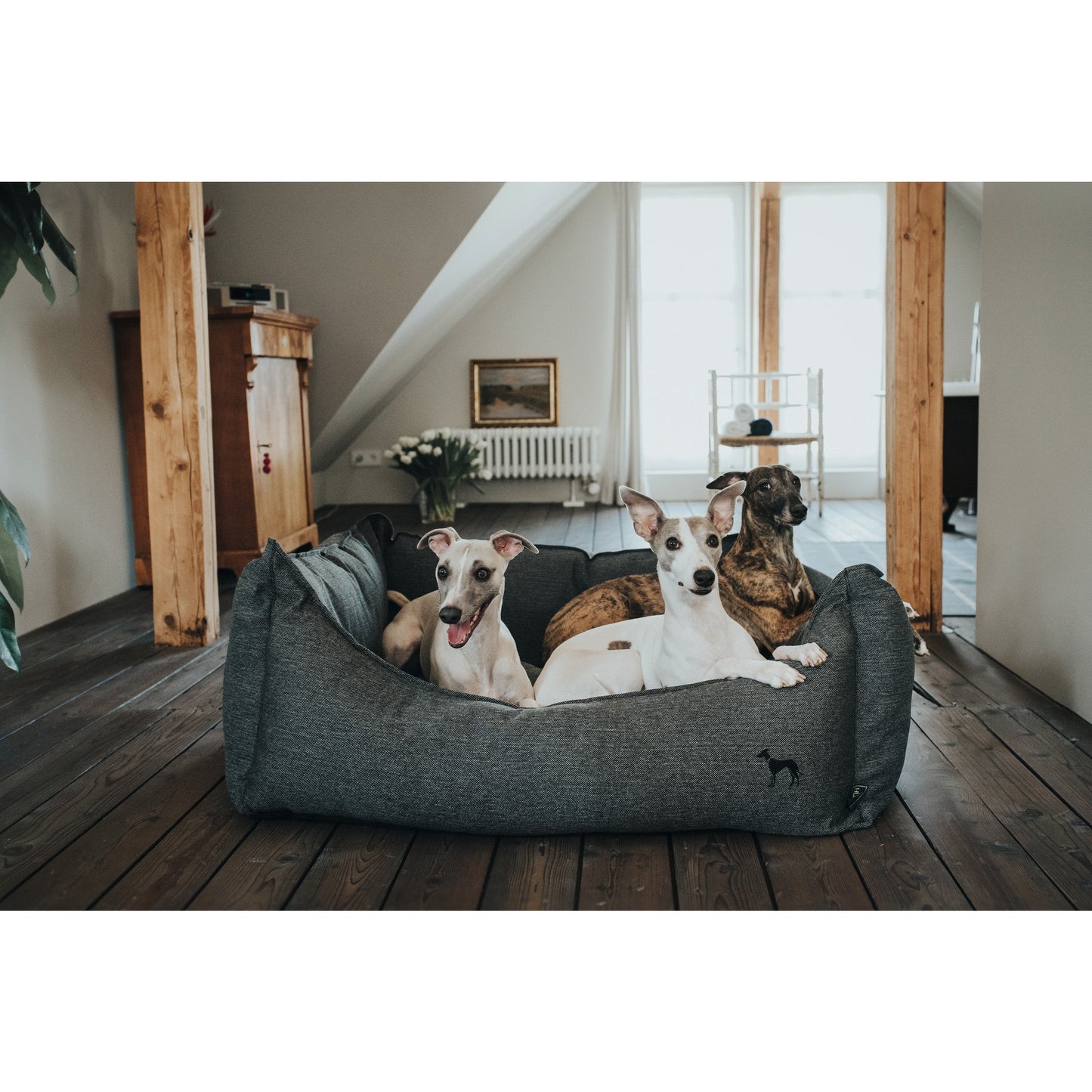Livingston Dog Sofa